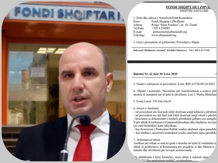 Agolli anulon tenderin 6 mln€ për parkun multifunksional fantazmë