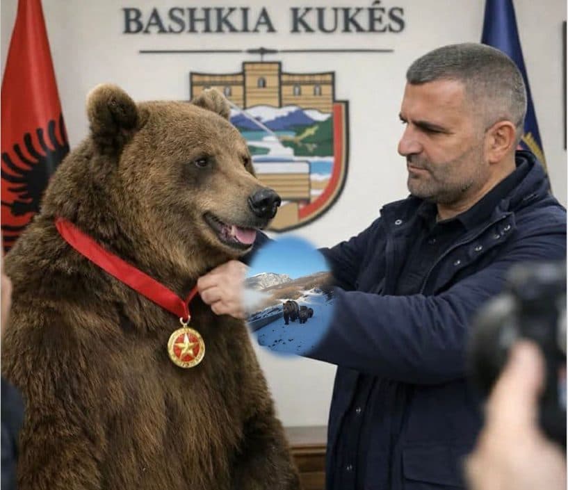 Bashkia Kukës nderon ariun që “shpëtoi” politikën nga skandalet për 24 orë