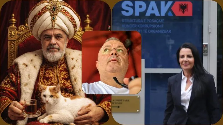 Vetëm Pashai ynë që nuk gabon kurrë!