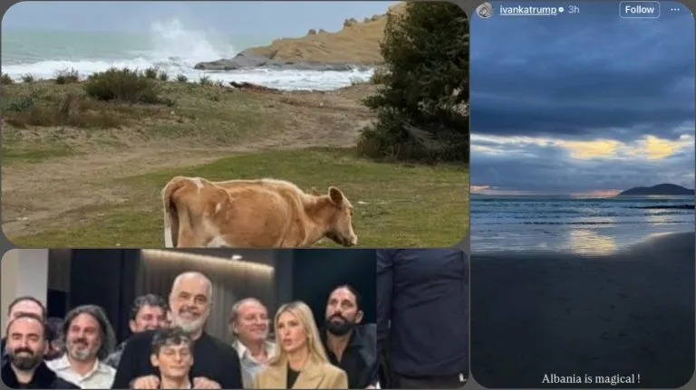 Vizita në Shqipëri, Ivanka Trump “zgjidh” rebusin e Magical Albania