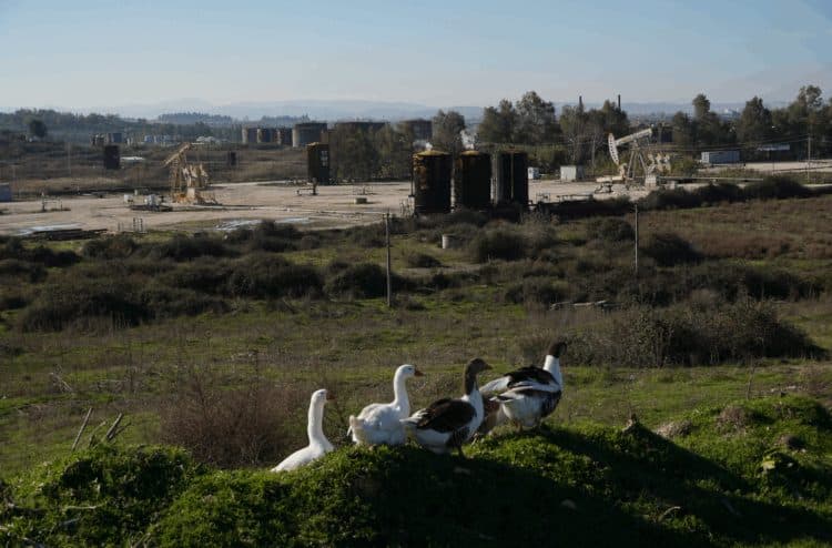 Nafta që ‘vret’, Patos-Marinza shpërthen në sëmundje malinje