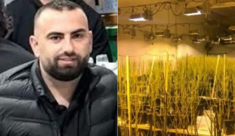 Kanabisi në magazinën e drejtorit të burgut  në Peqin!