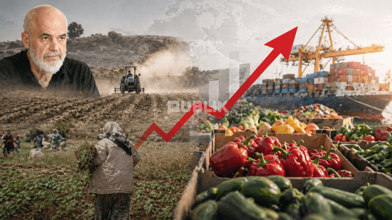 Bujqësia në “koma”, importet e ushqimeve rriten me 19%