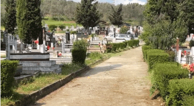 Ndodh në Lushnjë, vidhen eshtrat e varrit përmes një tuneli