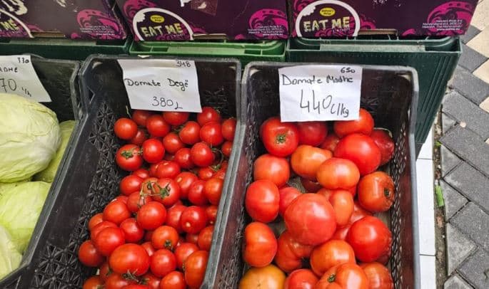 Kriza prek edhe domatet! Çmimi kapërcen 400 lekë/kg