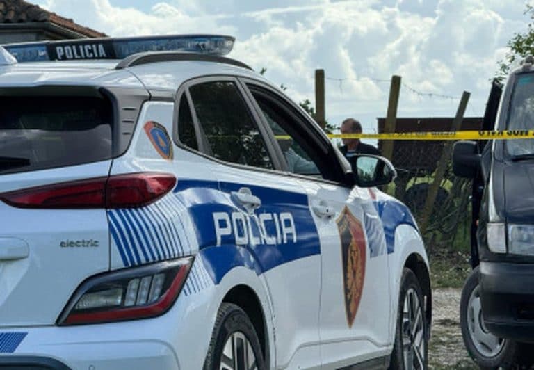 I vendosën tritol në banesë, dëshmon zyrtari i PD-së në Memaliaj