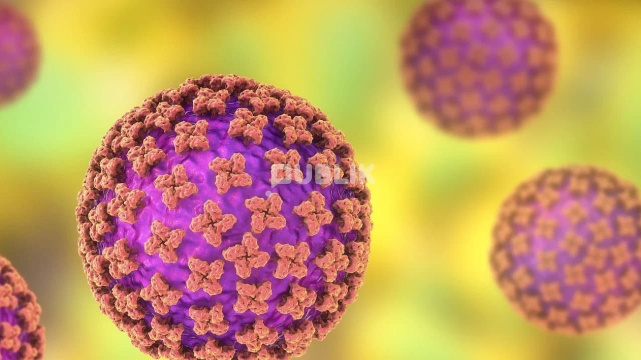 Çfarë është dhe si transmetohet hantavirusi? Gjithçka që duhet të dini